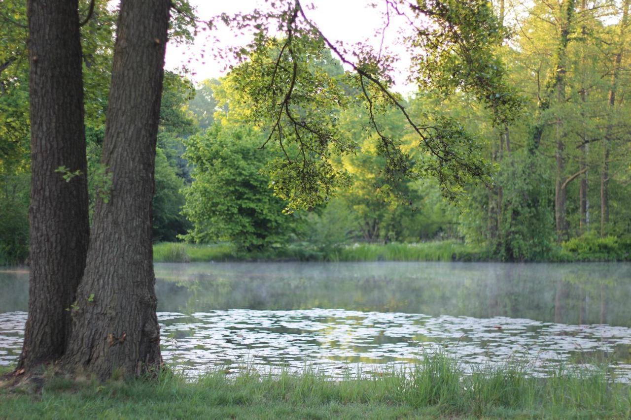Gasthof Zur Friedenseiche Lohsa Bagian luar foto